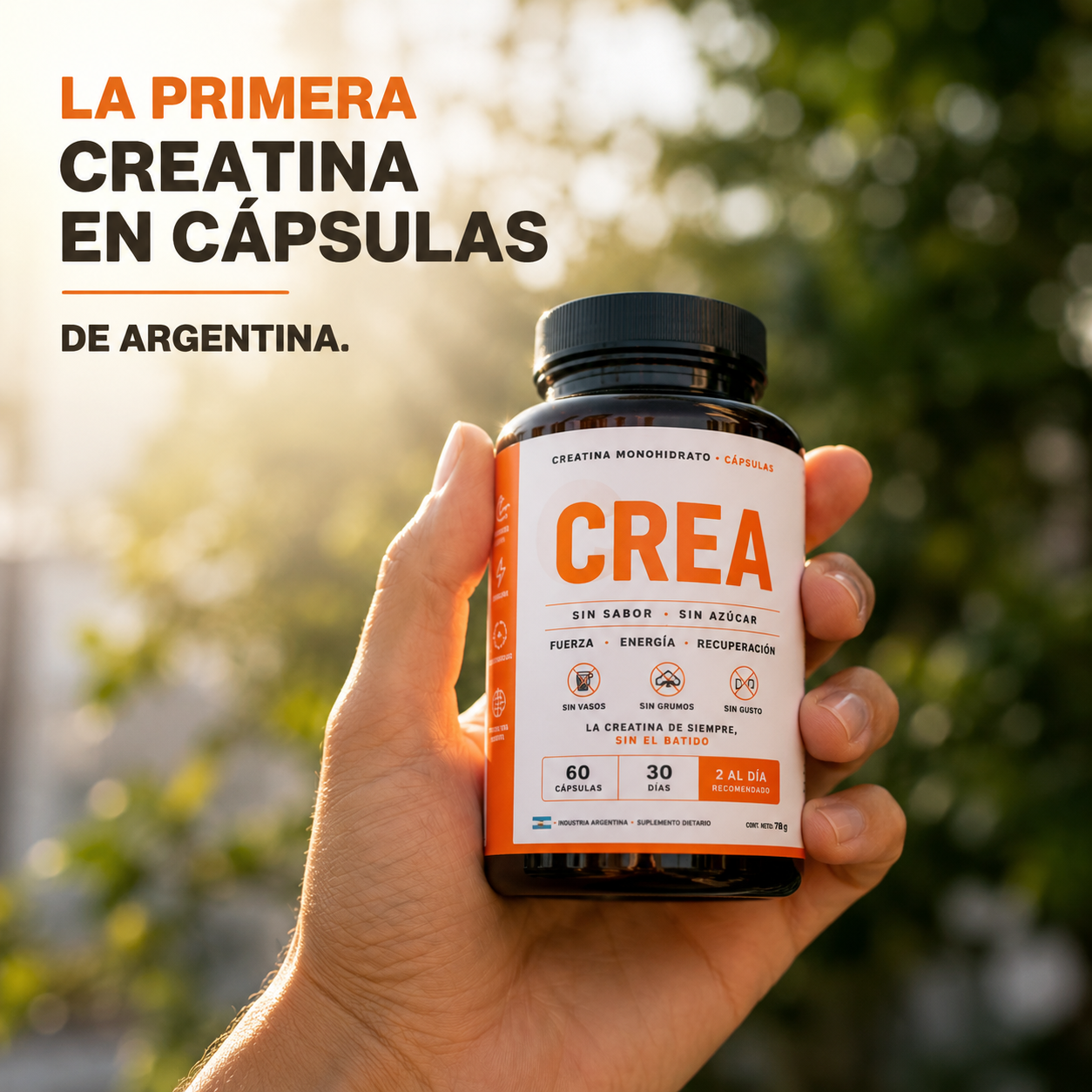 Creatina
