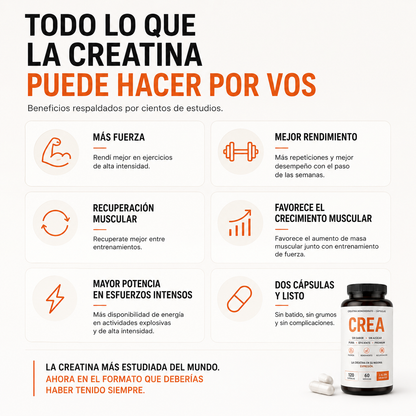 Creatina